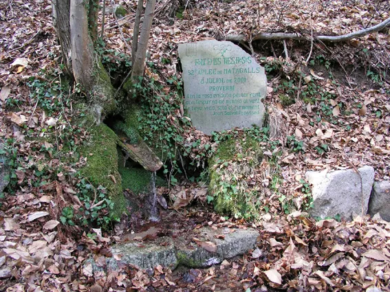 Viladrau, Font de les Tres Roses