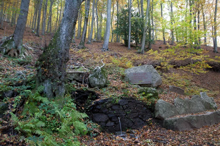 Font de Llops Viladrau
