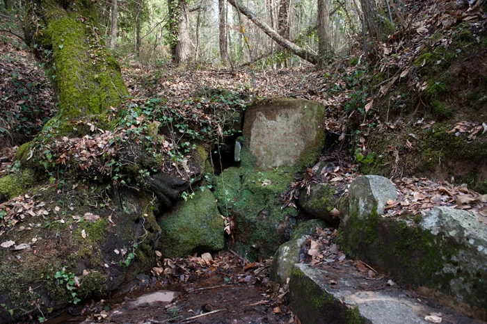Viladrau, Font del Noi Gran