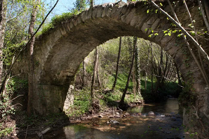 Pont de Can Pau Moliner