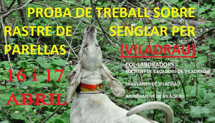 Viladrau_Concurs de gossos de rastre de senglar