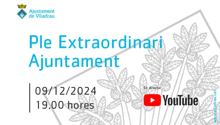 Convocatòria de la sessió extraordinària del ple de l'ajuntament. El 9 de desembre de 2024