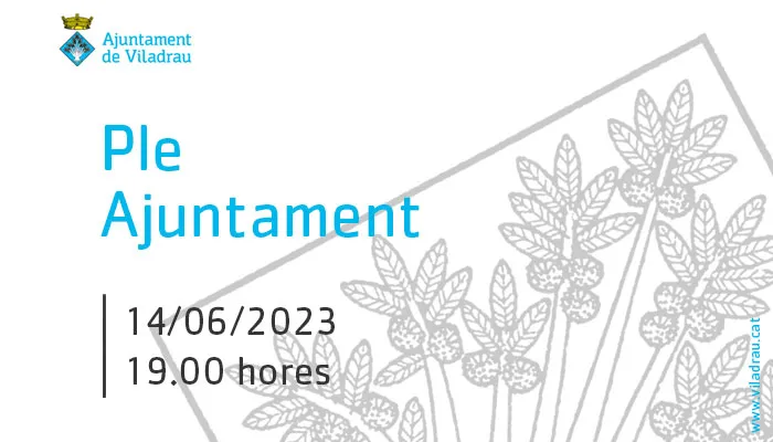 Convocatòria de la sessió extraordinària del ple de l'ajuntament. El 14 de juny de 2023