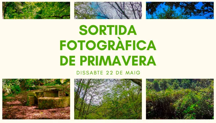 Viladrau Sortida fotogràfica de primavera