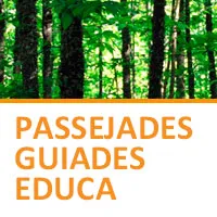 Viladrau Passejada "Arbres i animals. Biodiversitat al Montseny"