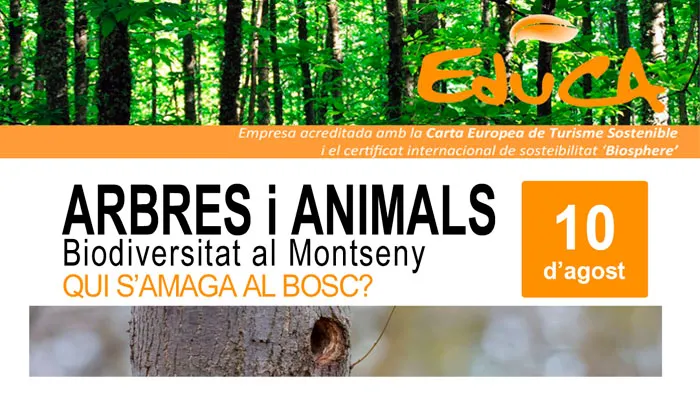 Viladrau Passejada "Arbres i animals. Biodiversitat al Montseny"
