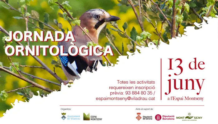 Viladrau Jornada Ornitològica