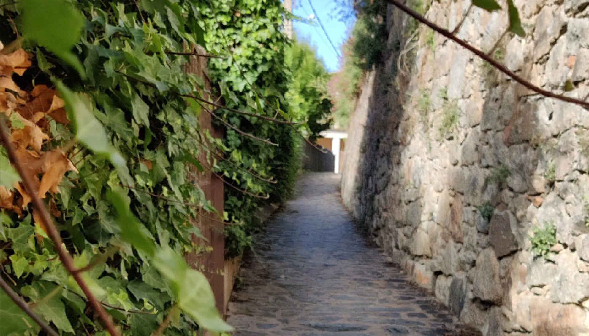 Viladrau Camí de Can Pau Ramon