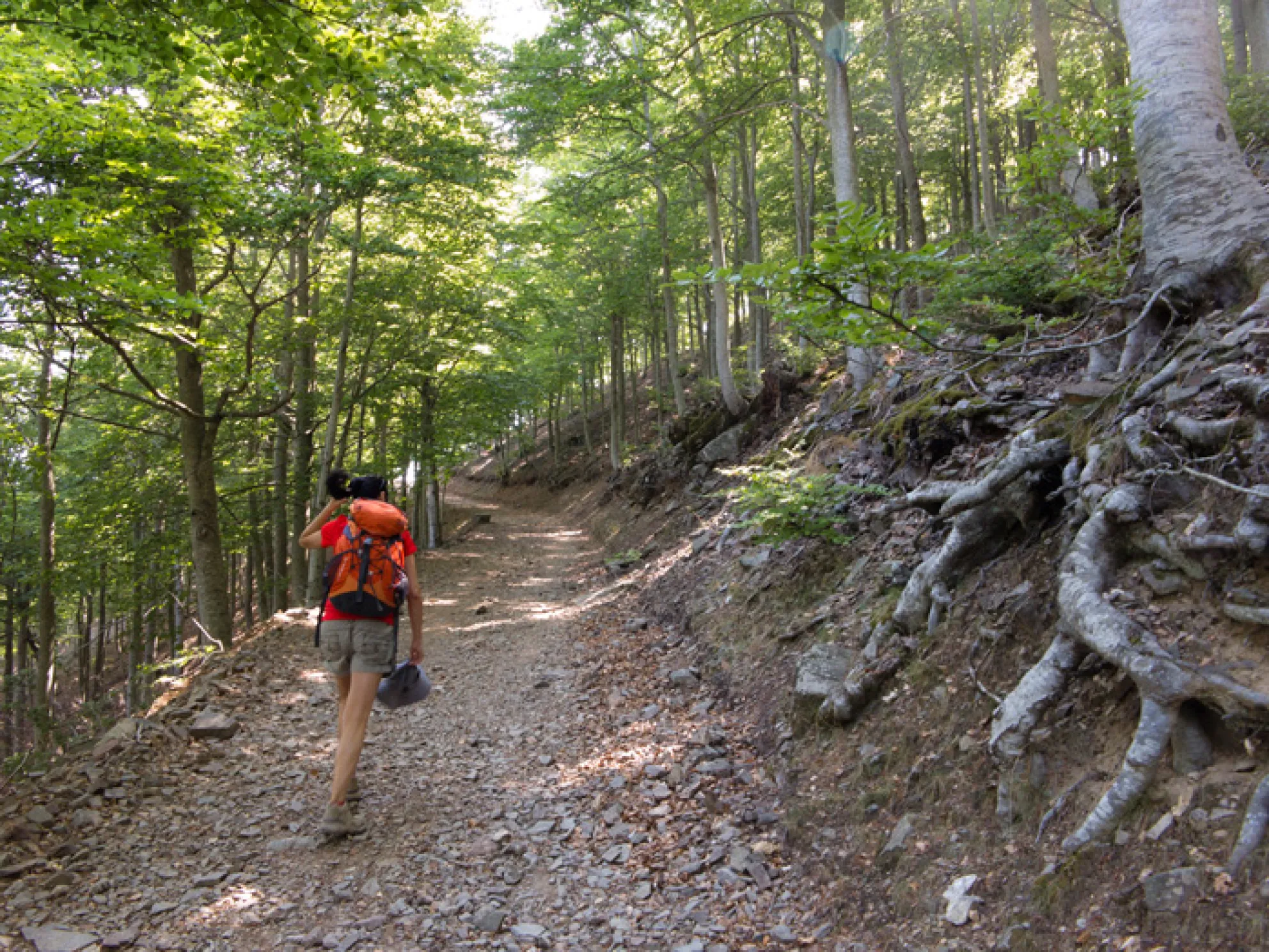 Itineraris i rutes Viladrau. Camí de Matagalls.