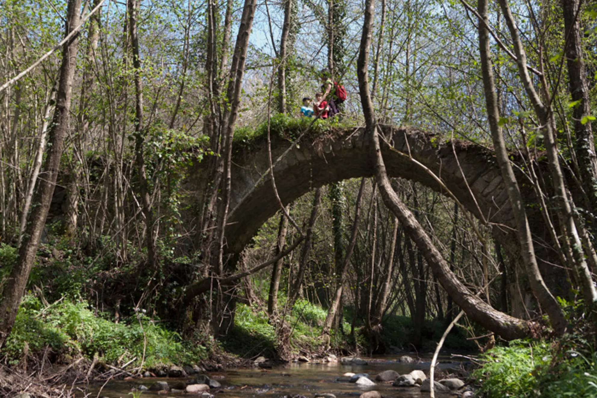 Pont de Can Pau Moliner
