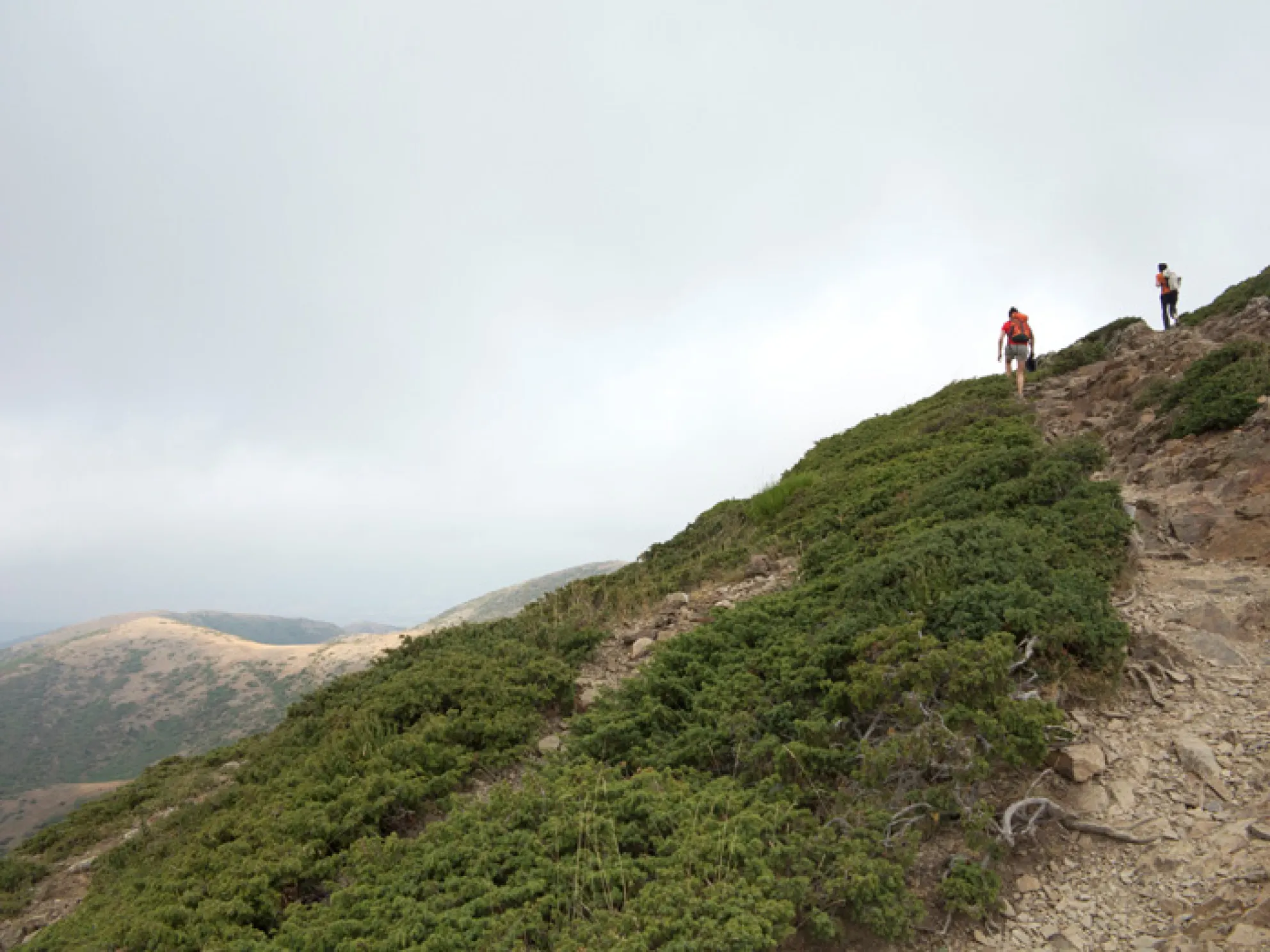 Itineraris i rutes Viladrau. Camí de Matagalls.