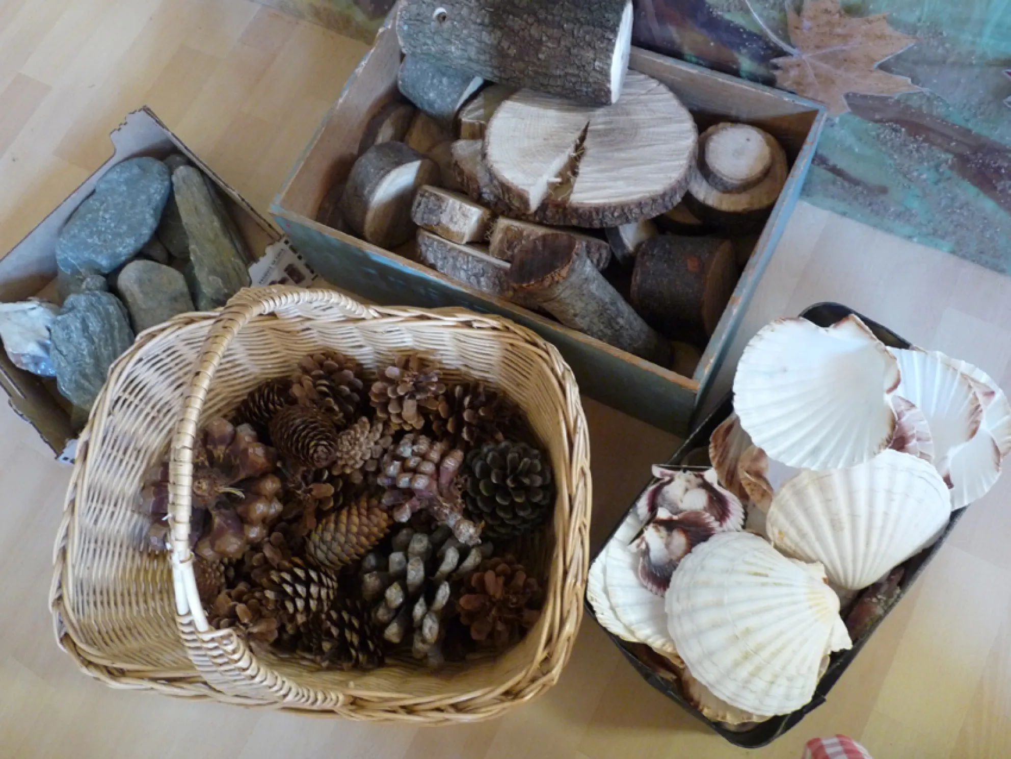 pinyes, fusta, cloises i pedres