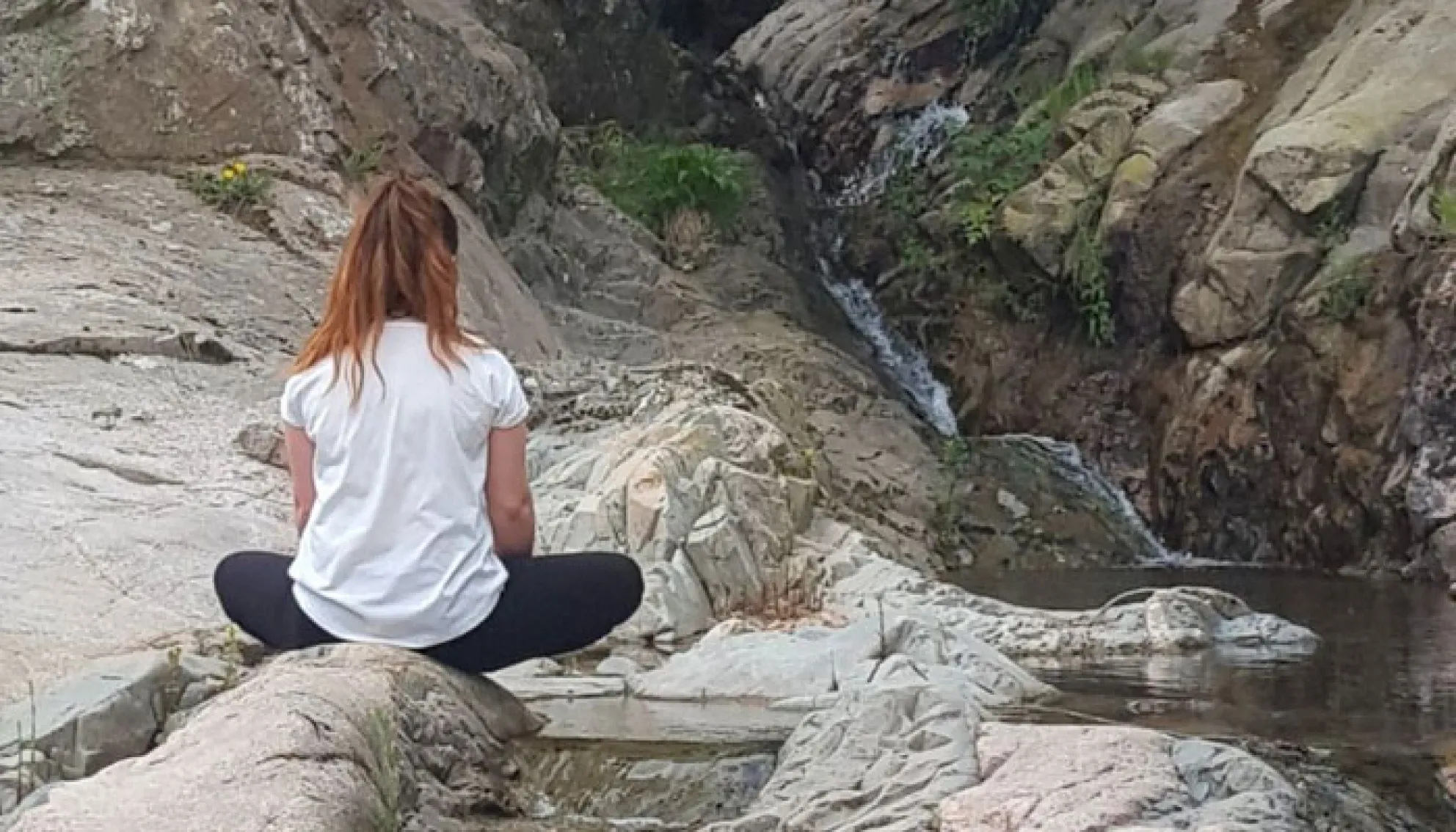 Viladrau Ànima de Natura