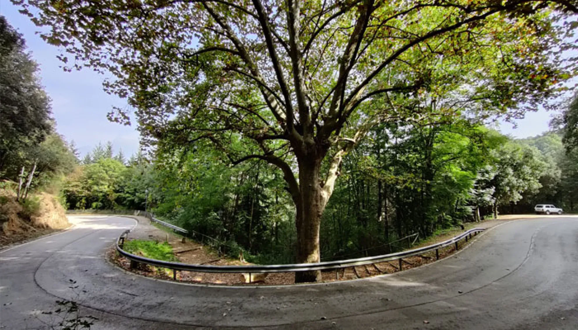 Viladrau Carretera d'Arbúcies