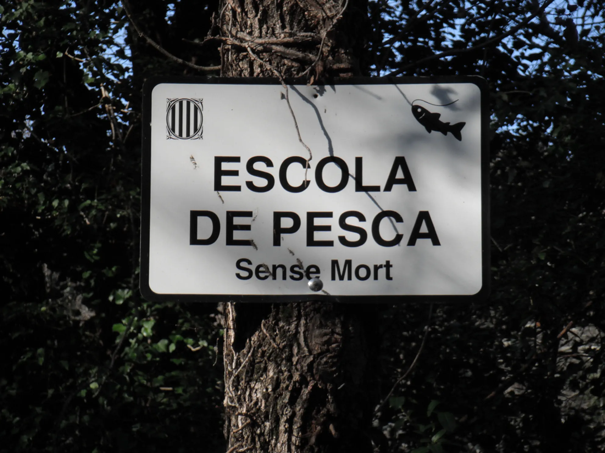 Cartell escola de pesca