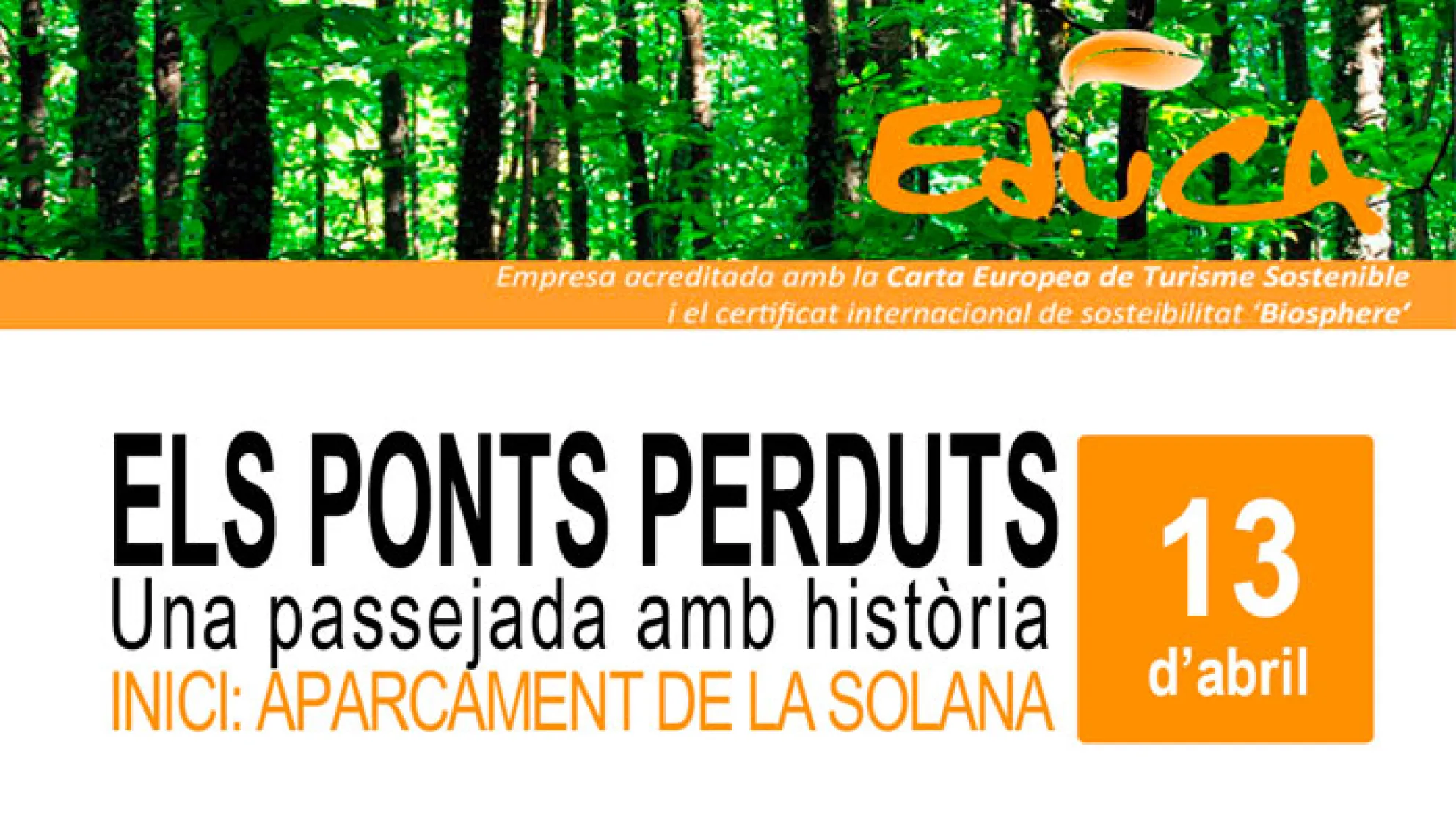 Viladrau Passejada "Els Ponts Perduts"