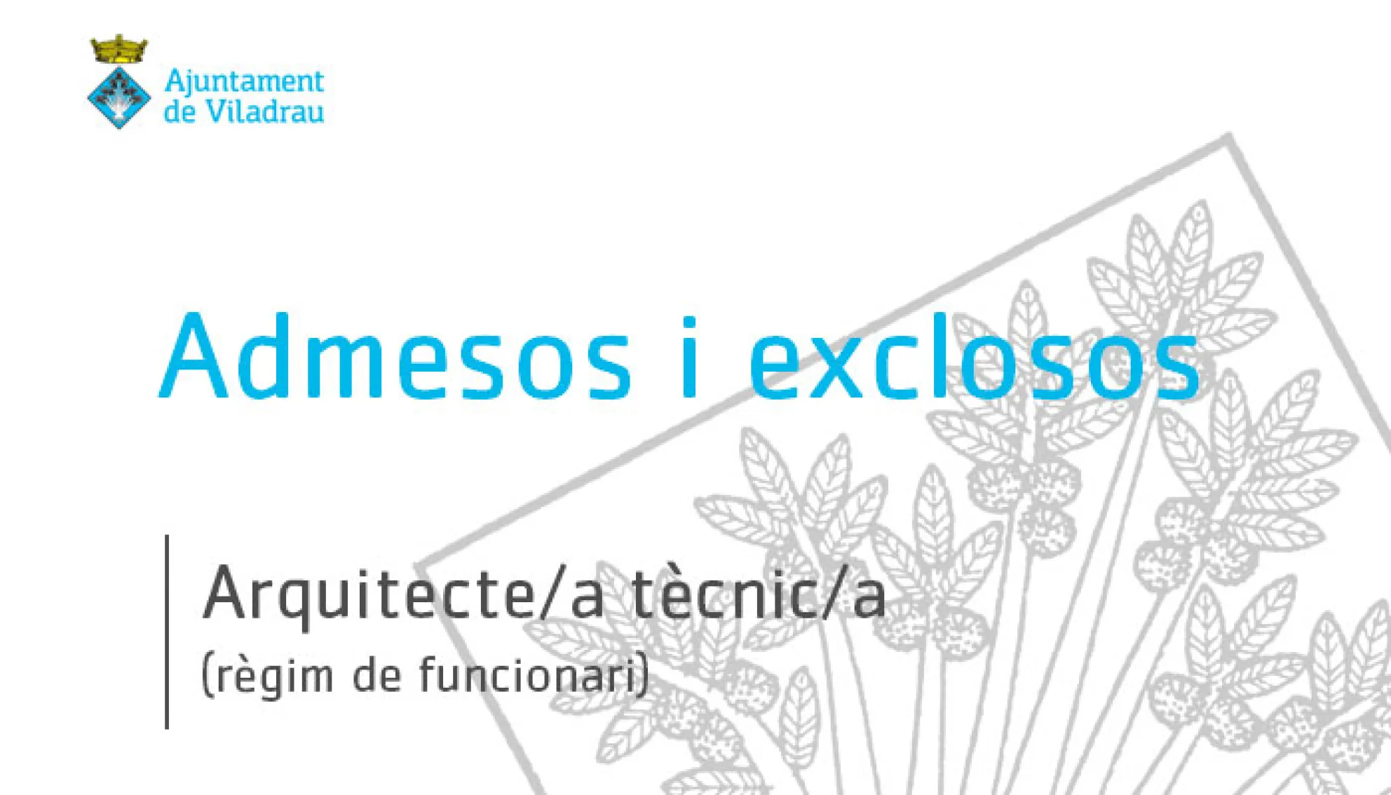 Relació provisional d'admesos i exclosos al procés de selecció en règim de funcionari d'un/a Arquitecte/a Tècnic/a