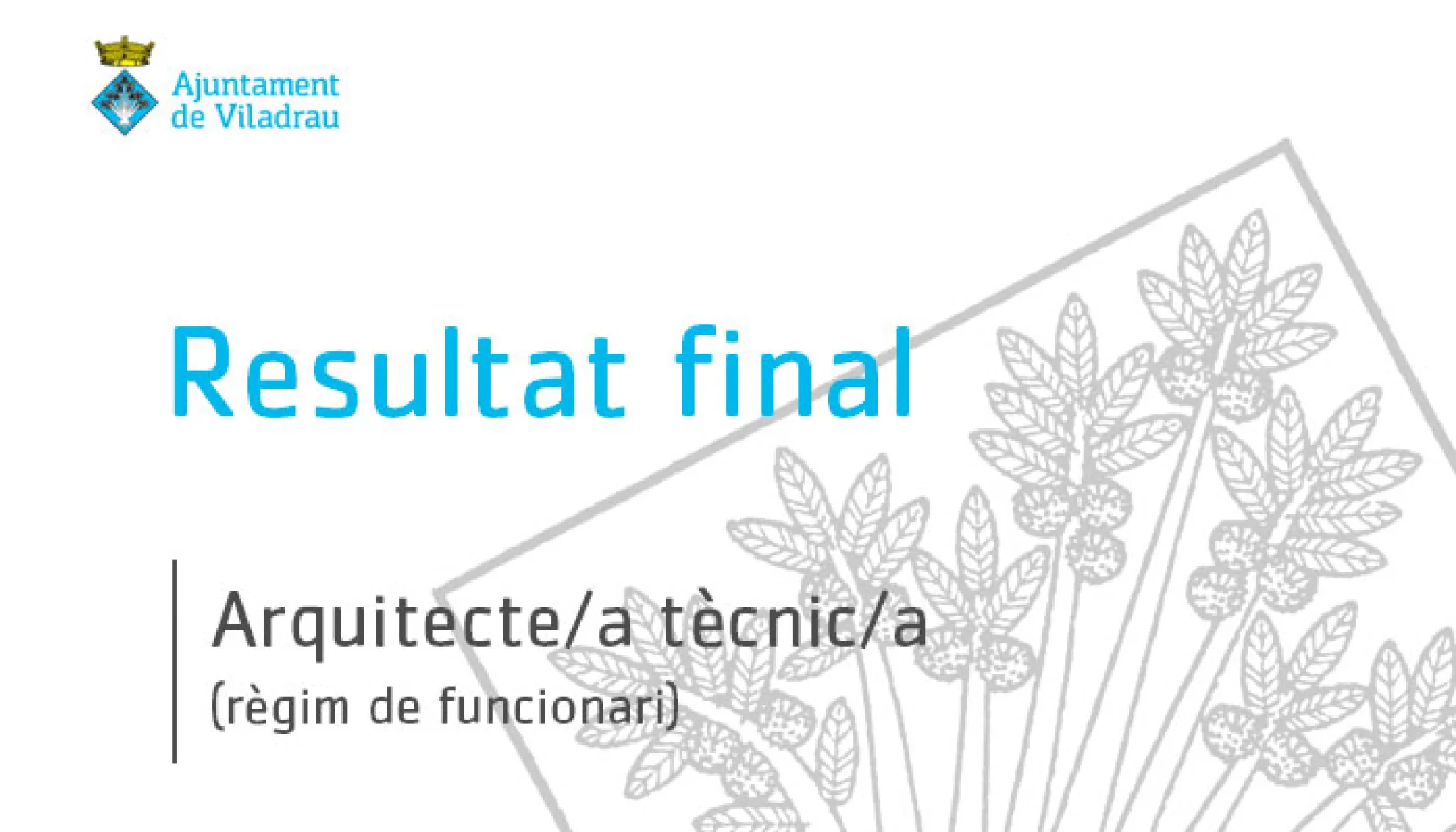 Resultat final del procés de selecció en règim de funcionari d'un/a Arquitecte/a Tècnic/a