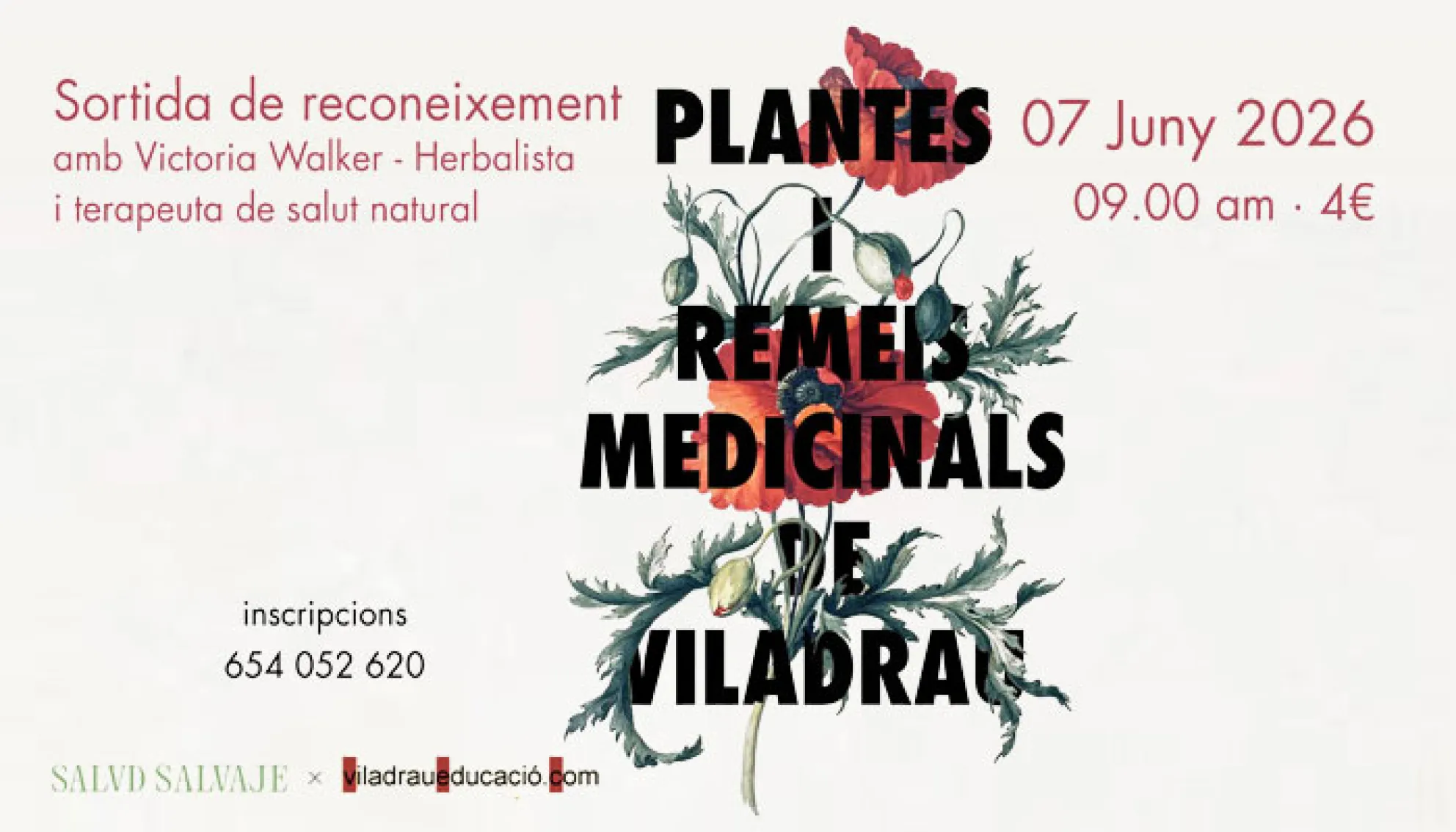 Sortida de reconeixement "Plantes i Remeis Medicinals de Viladrau"