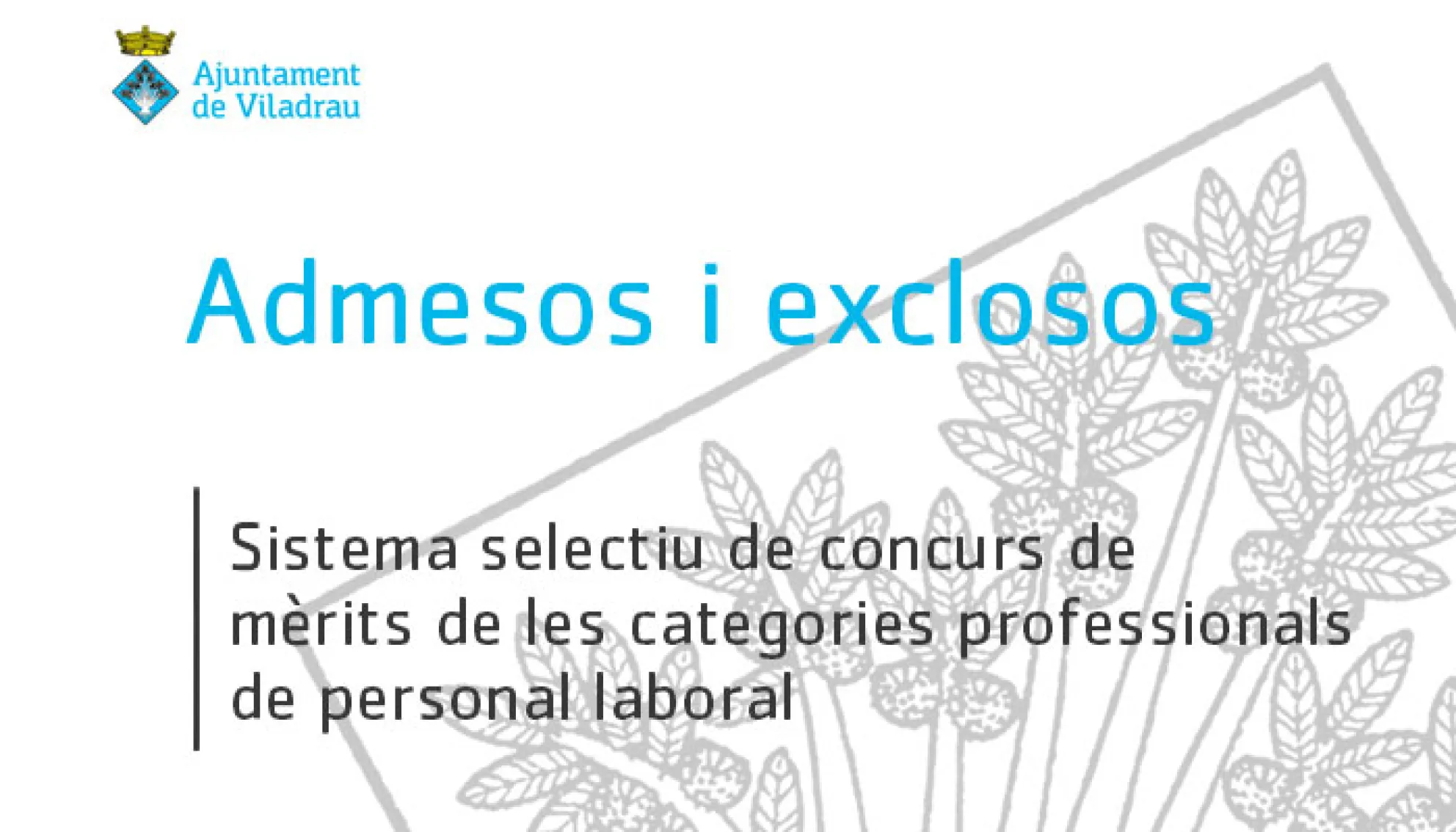 Relació d'admesos i exclosos del procés selectiu de concurs de mèrits de les categories professionals de personal laboral