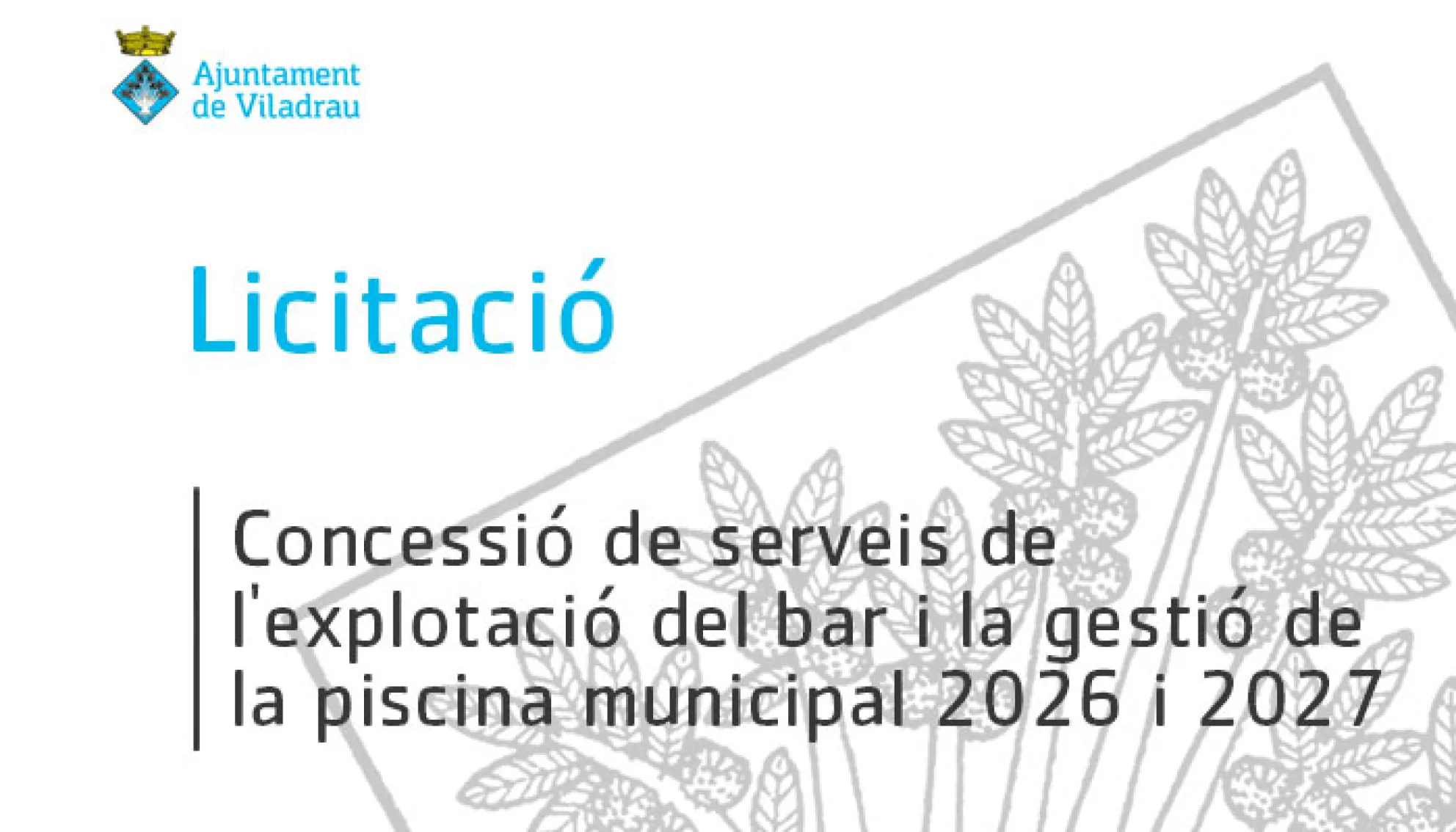 Concessió de serveis de l'explotació del bar i la gestió de la piscina municipla 2026 i 2027