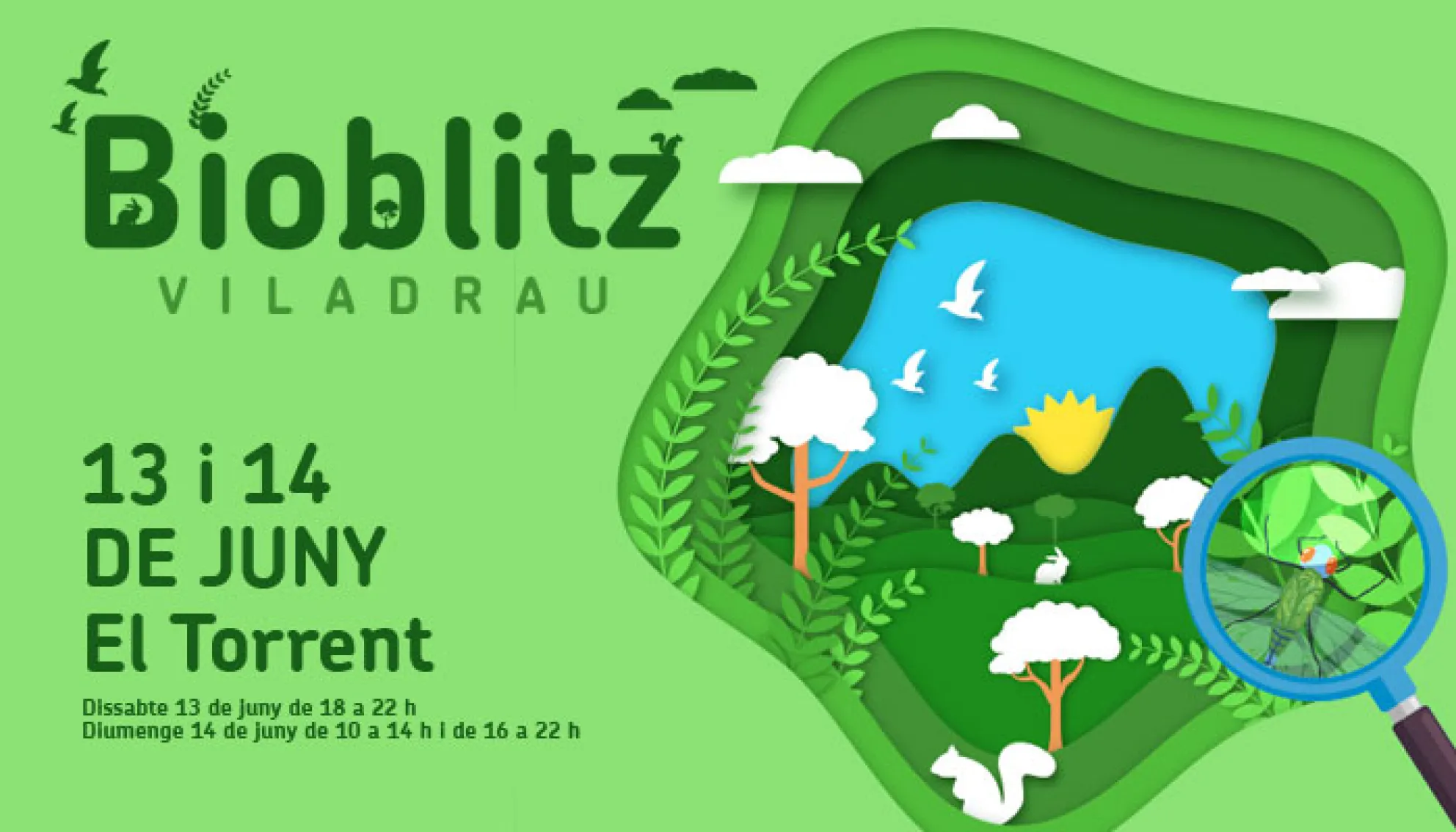 Bioblitz Viladrau