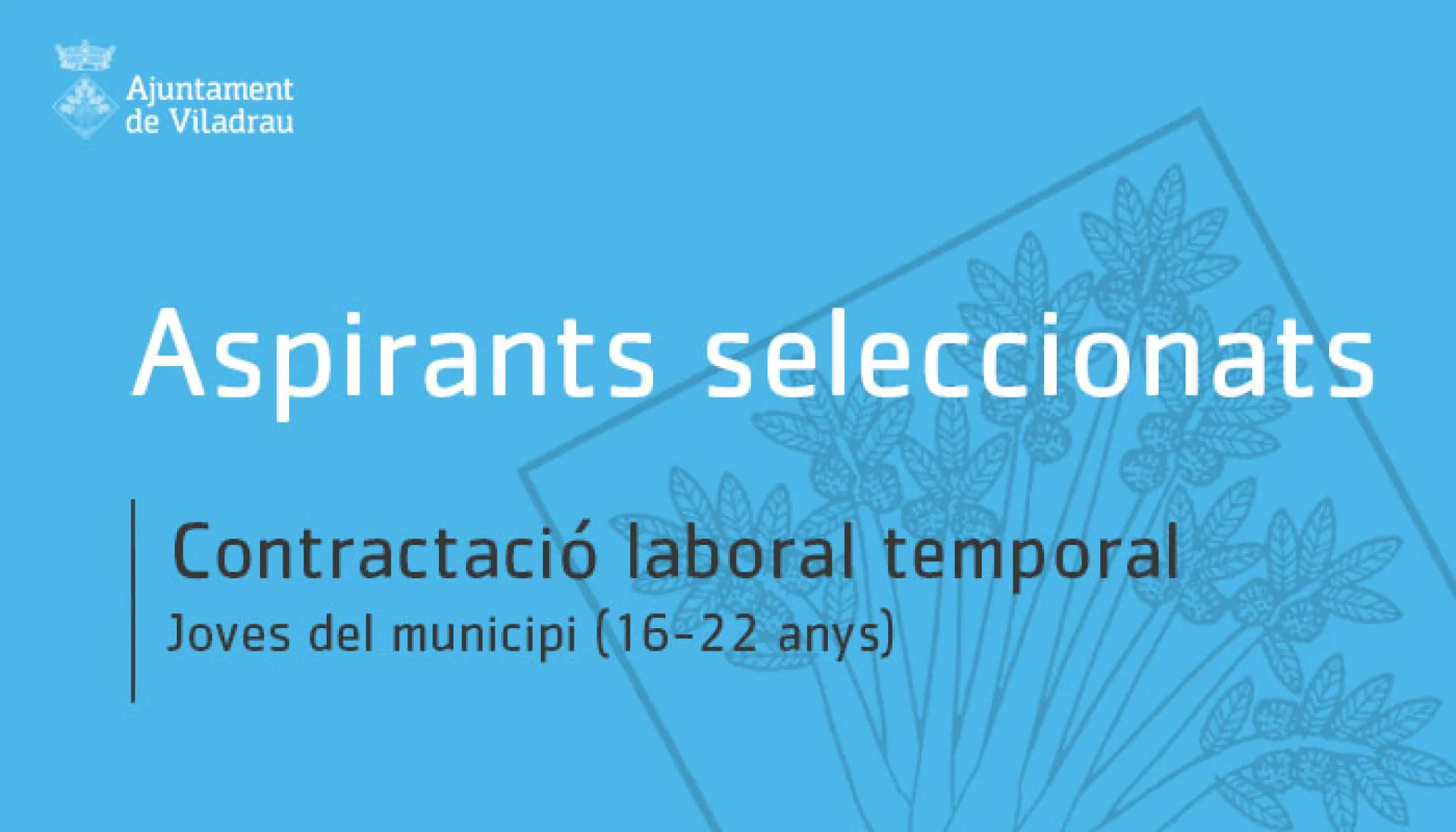 Aspirants seleccionats per les tres places temporals en el marc del programa "Estiu Jove 2021"