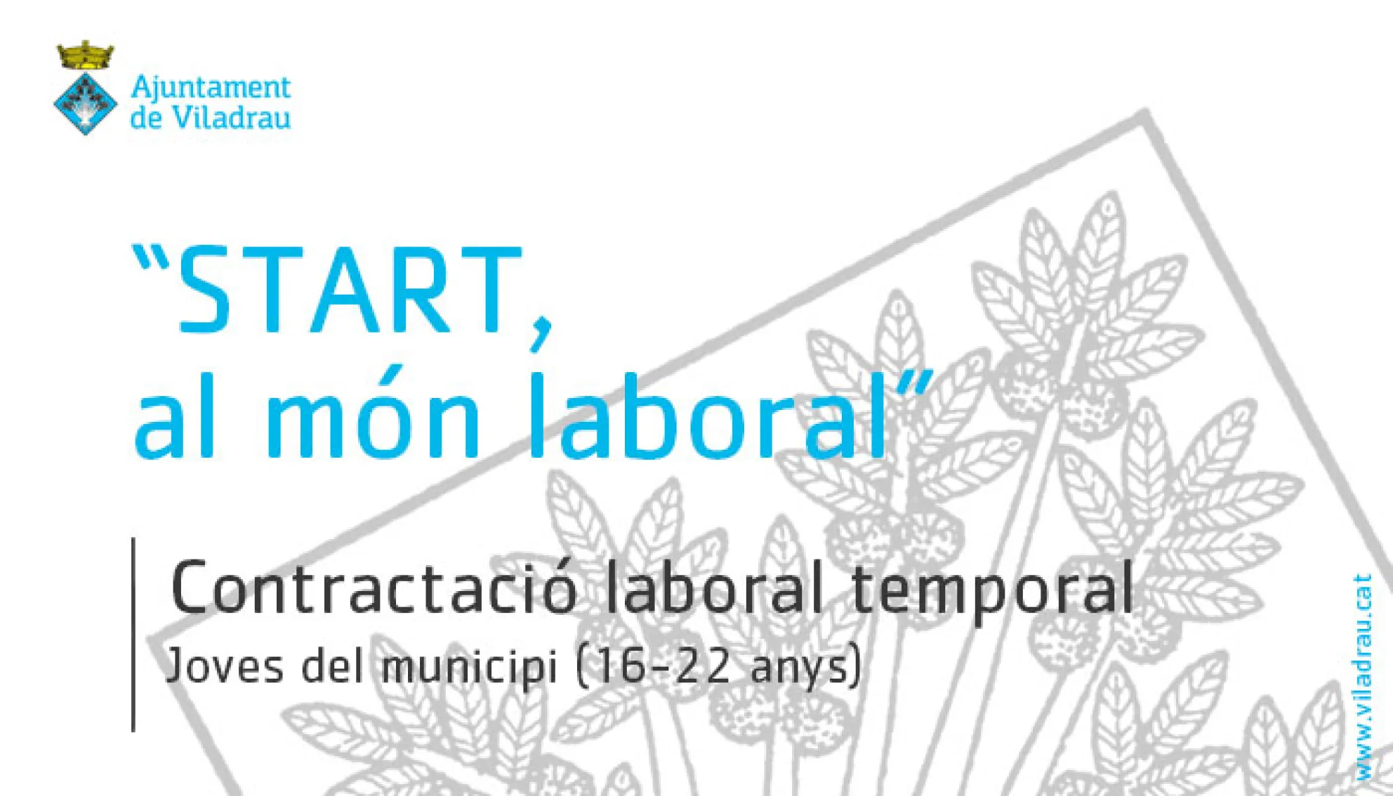 Contractació laboral temporal de 3 joves dins el marc "Projecte formatiu START, al món laboral"