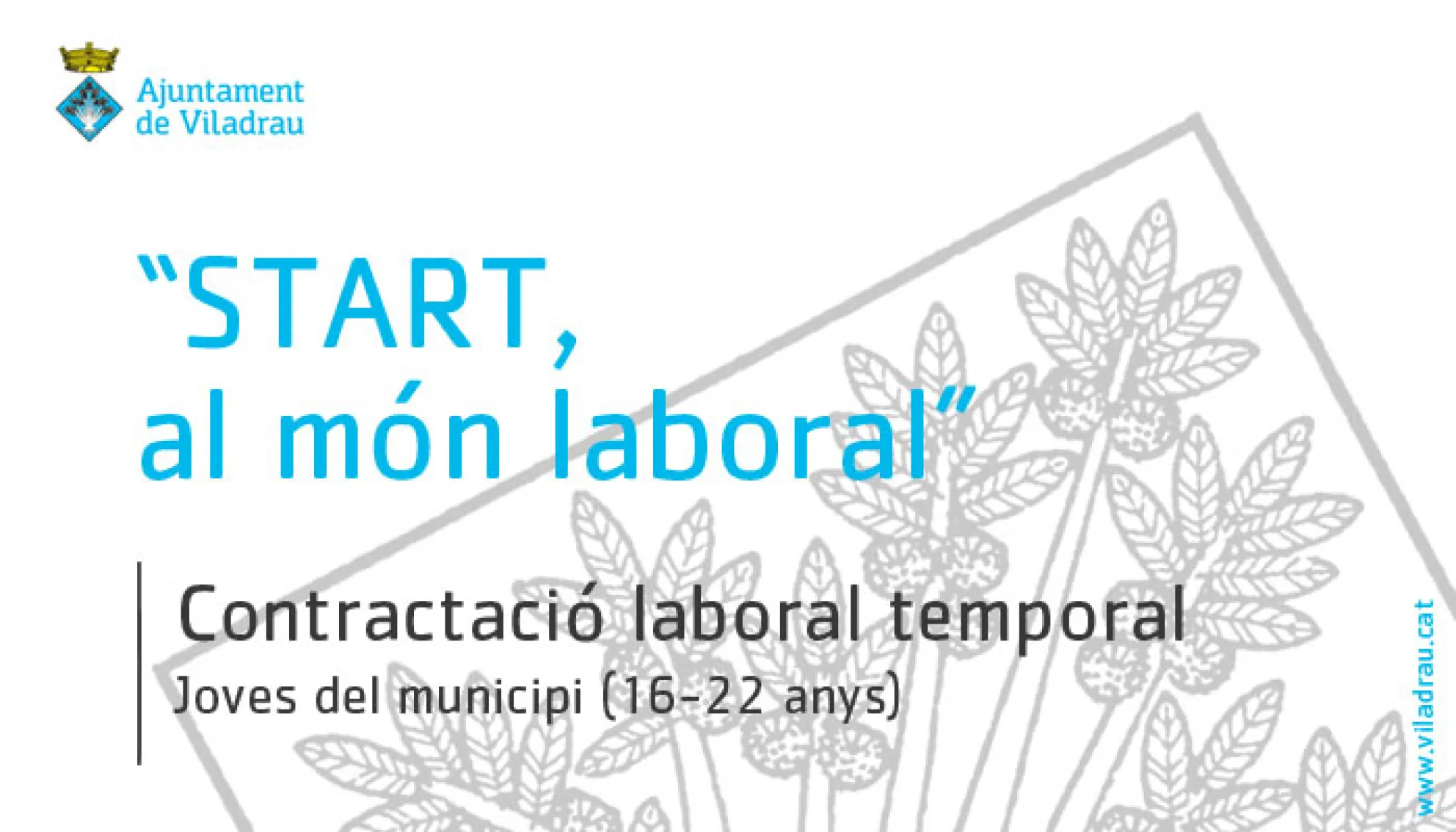 Contractació laboral temporal de 3 joves dins el marc "Projecte formatiu: START, al món laboral" 2026