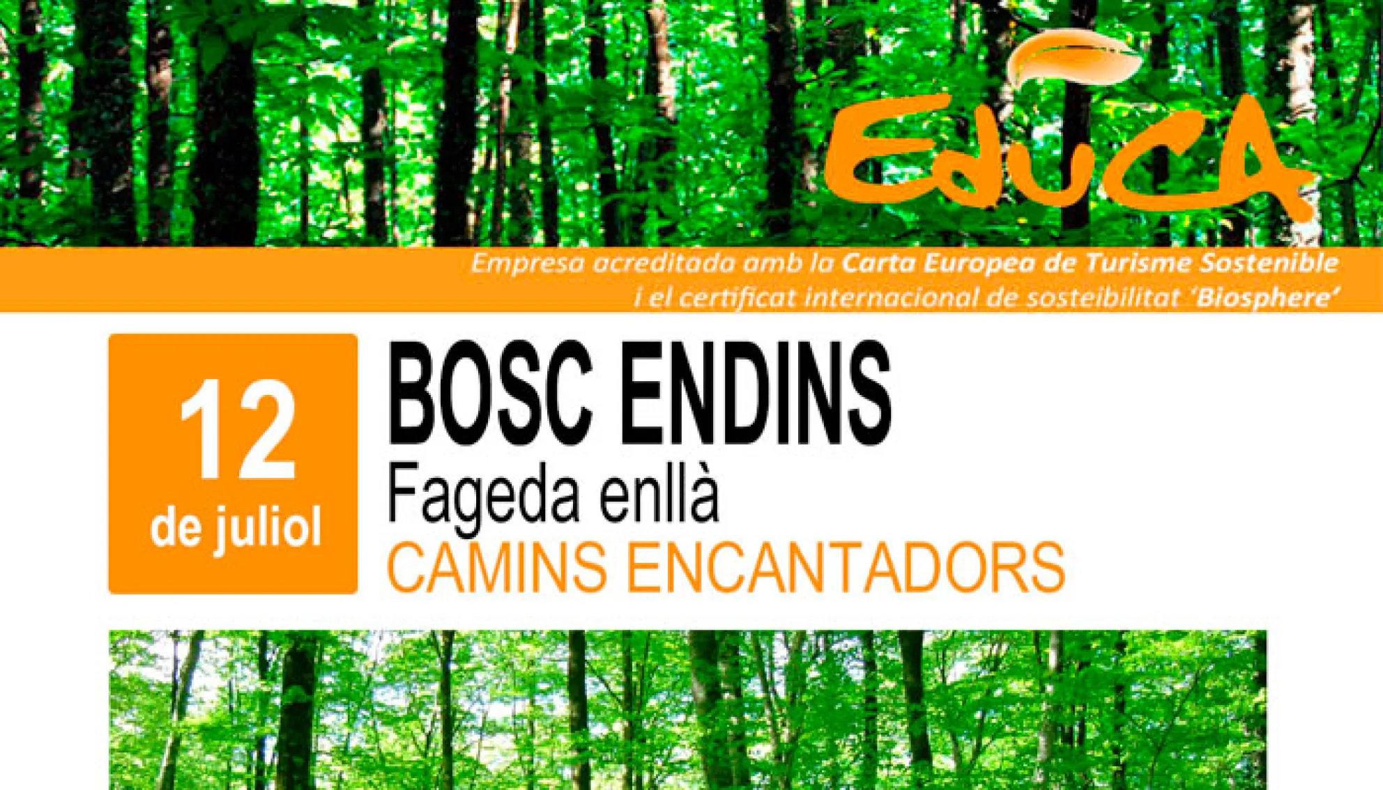 Viladrau Passejada "Bosc endins. Fageda enllà"