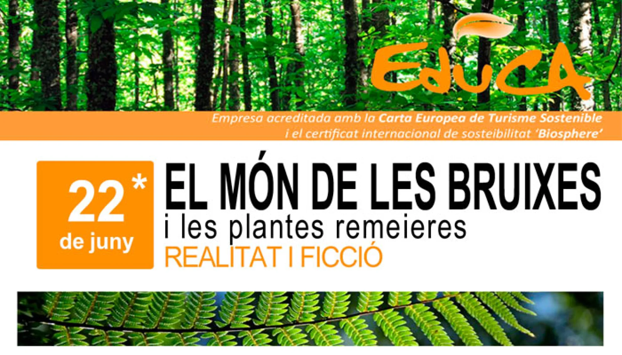Viladrau Passejada "El Món de les Bruixes i les plantes remeieres"