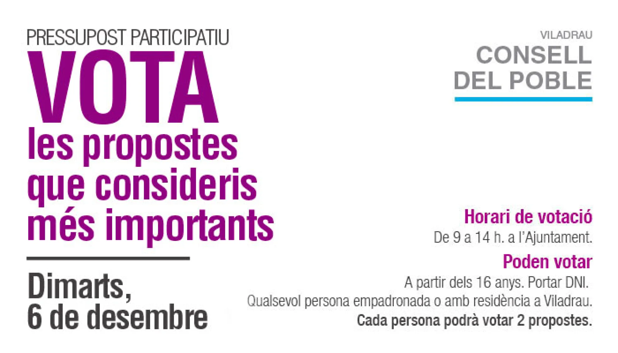 Viladrau_Vota les propostes que consideris importants