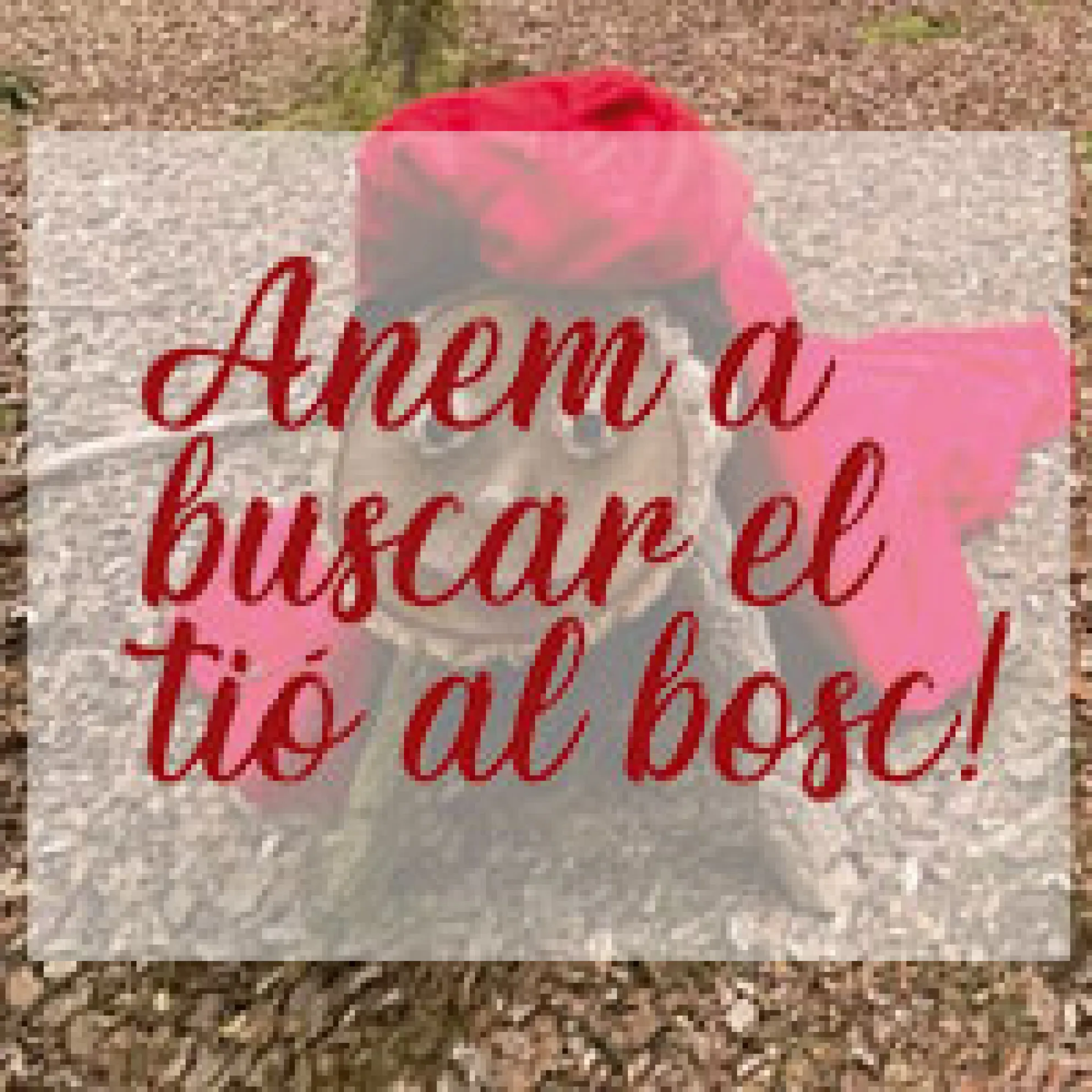 Viladrau Anem a buscar el tió al bosc 2022